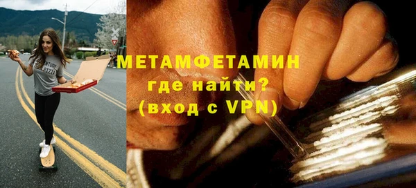 индика Ельня