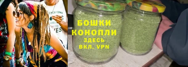 амф Новокубанск