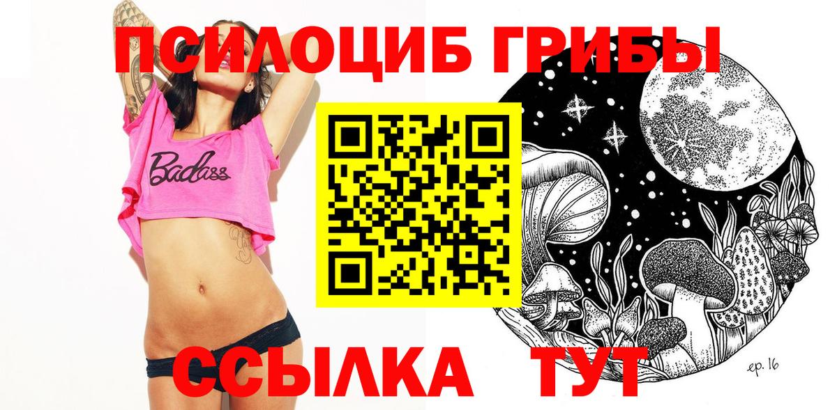 Мичуринск  Галлюциногенные грибы MAGIC MUSHROOMS  Галлюциногенные грибы ЛСД  Вход с VPN 
